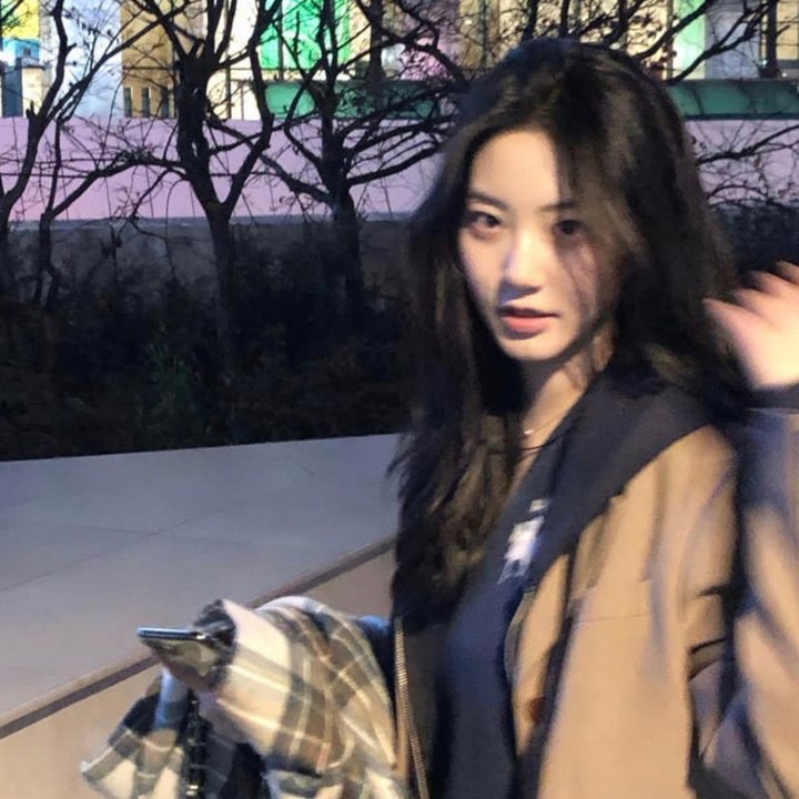 酱狗